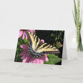 Tarjeta Swallowtail en Echinacea