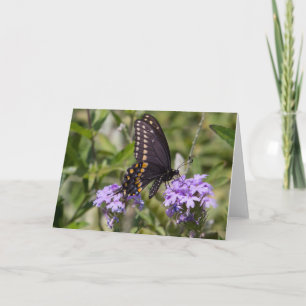 Tarjeta Swallowtail en la verbena de la pradera
