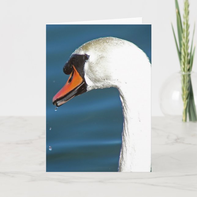 Tarjeta Swan (Anverso)