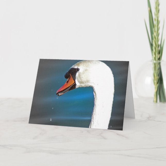 Tarjeta Swan (Anverso)