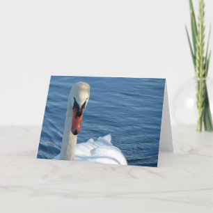 Tarjeta Swan