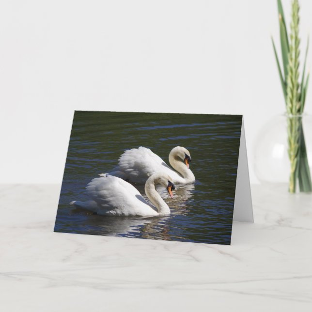 Tarjeta Swan Birthday (Anverso)