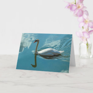 Tarjeta Swan con reflexiones en la nube