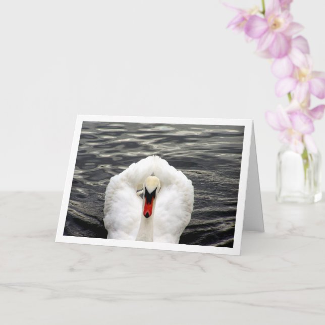 Tarjeta Swan en el retrato del lago (Orquídea)
