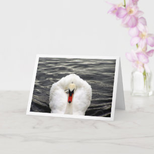 Tarjeta Swan en el retrato del lago