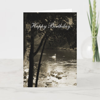 Tarjeta Swan en el río - Cumpleaños