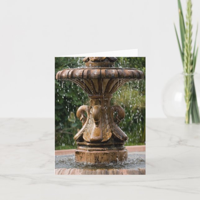 Tarjeta Swan Fountain Notecard (Anverso)