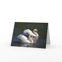 Tarjeta Swan Greetings