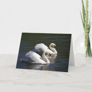 Tarjeta Swan Greetings