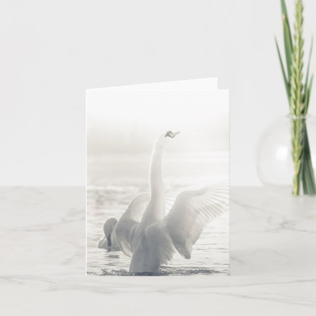 Tarjeta Swan Wildlife photo (Anverso)