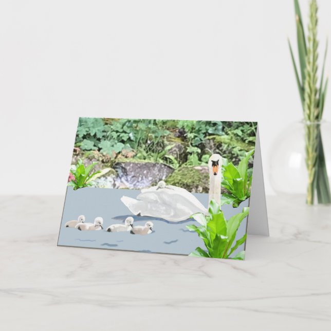 Tarjeta Swan y Cygnets Blank (Anverso)