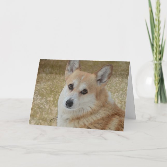 Tarjeta Sweet Corgi Face Card (Anverso)