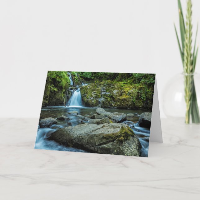 Tarjeta Sweet Creek Falls (Anverso)