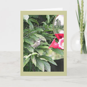 Tarjeta Sweet Humming Bird Birthday Wish