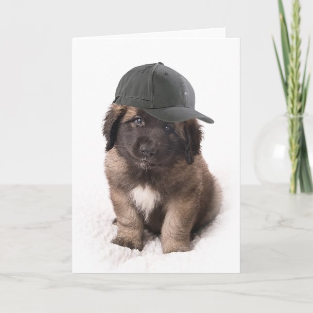 Tarjeta Sweet Leonberger dog puppy with a cap (Anverso)