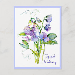Tarjeta Sweet Peas Anytime