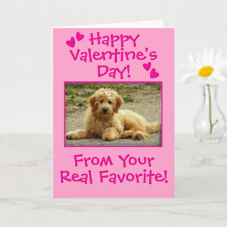 Tarjeta Sweet Valentine's Day From The Dog Photo Card