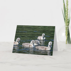 Tarjeta Swim Friends
