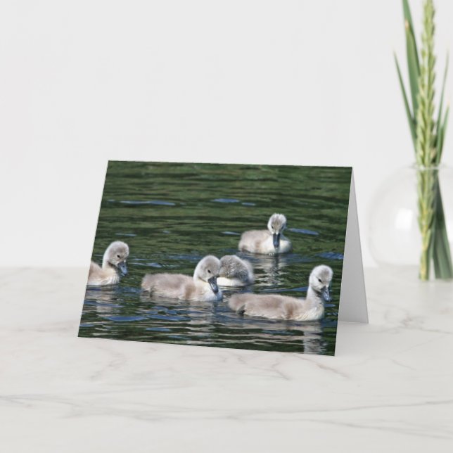 Tarjeta Swim Friends (Anverso)