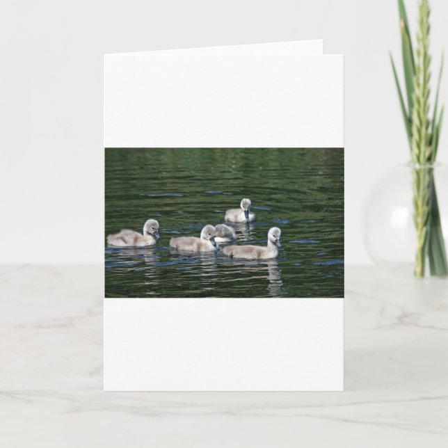 Tarjeta Swim Friends (Anverso)