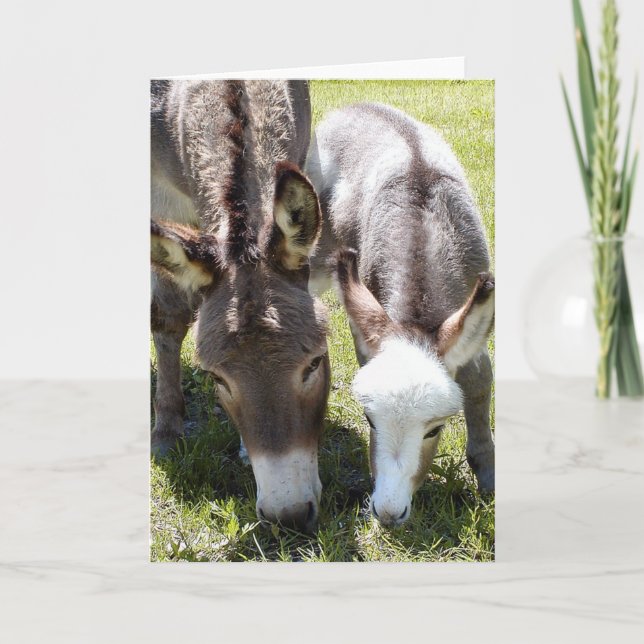 Tarjeta Sylvia y Mr. T (Anverso)