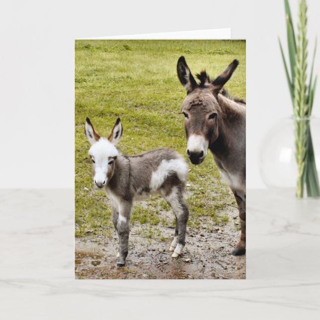 Tarjeta Sylvia y Mr. T (Anverso)