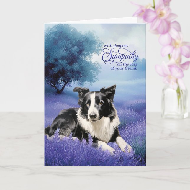 Tarjeta Sympathy Border Collie Dog Lavender Meadow (Orquídea)