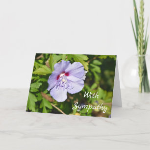 Tarjeta Sympathy card - blank inside for your message