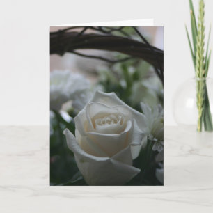 Tarjeta Sympathy Card white rose unique greeting cards