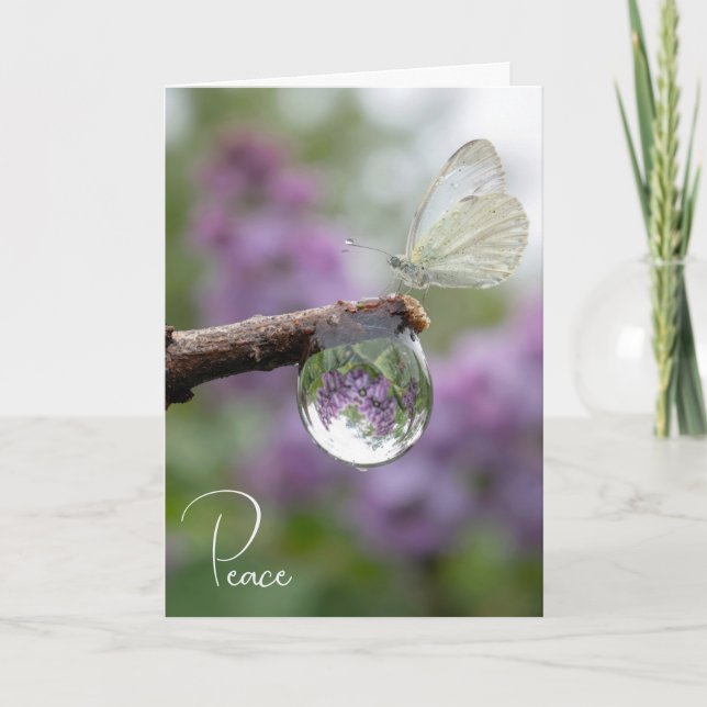 Tarjeta Sympathy Lilacs Reflecting in a Raindrop  (Anverso)