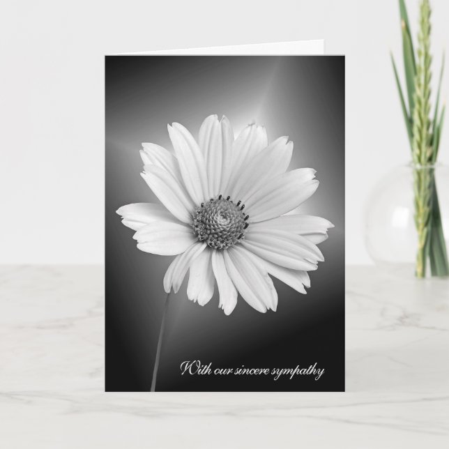 Tarjeta Sympathy White Daisy With Light Beams (Anverso)