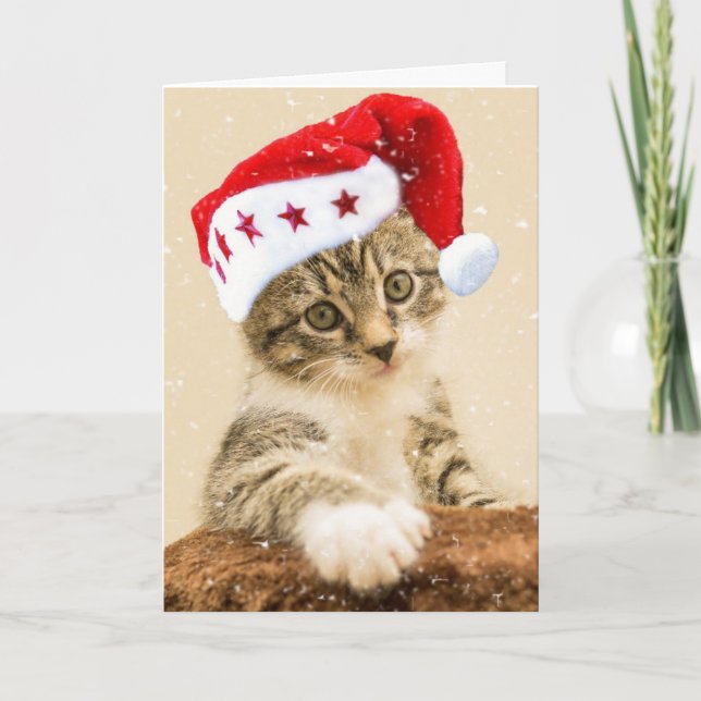 TARJETA TABBY CAT KITTEN MEOWY NAVIDADES (Anverso)
