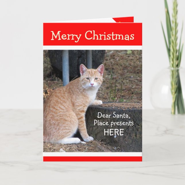 Tarjeta Tabby de los navidades desea Naranja (Anverso)
