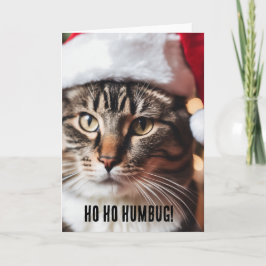 Tarjeta Tabby festivo