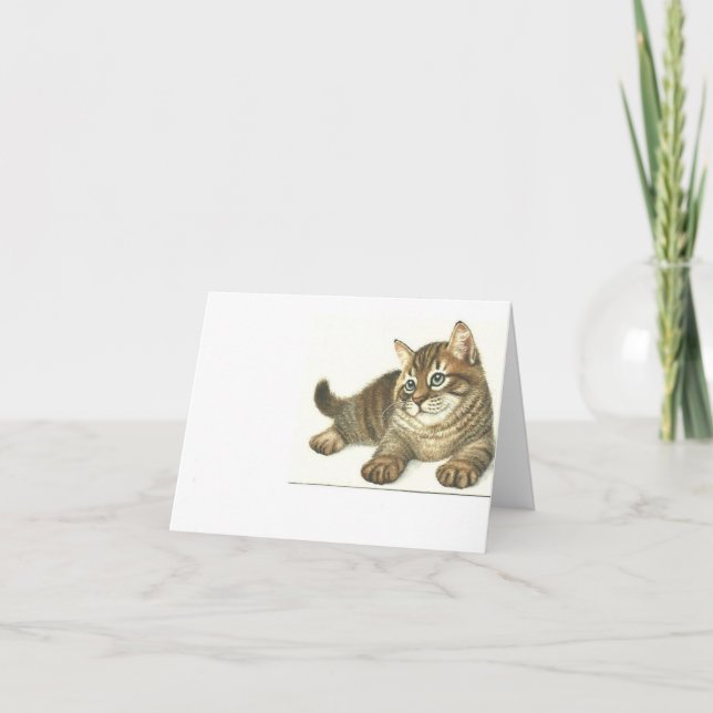 Tarjeta Tabby Kitten (Anverso)