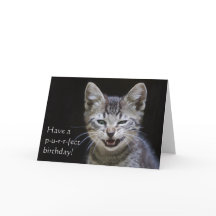 Tabby Kitten Feliz Cumpleaños