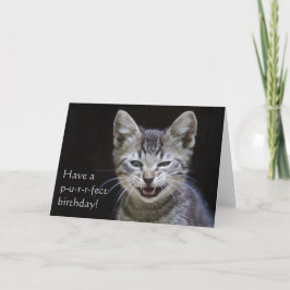 Tarjeta Tabby Kitten Feliz Cumpleaños