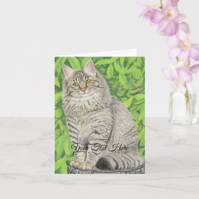 Tarjeta Tabby Longhair (Orquídea)