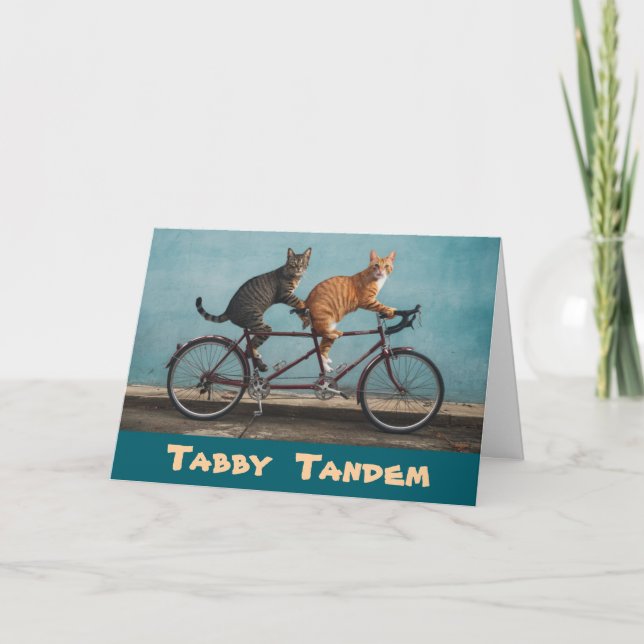 Tarjeta Tabby Tandem (Anverso)