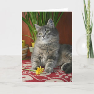 Tarjeta Tabby y narcisos Notecard