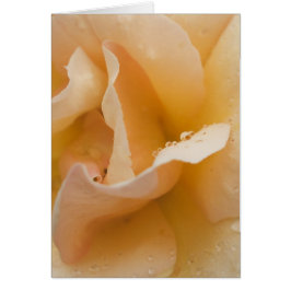 Tarjeta táctil suave de Grace