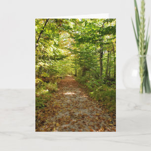 Tarjeta Tahquamenon Falls senderos naturales otoño