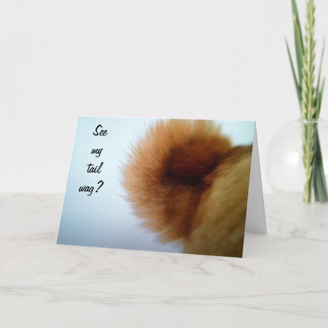 TARJETA TAIL SALVANDO A UN PERRO FELIZ (Anverso)