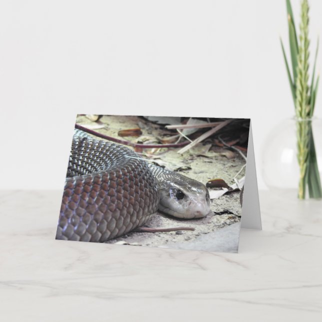 Tarjeta Taipan costero (Anverso)