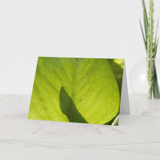 Tarjeta Taiwan Flora Leaf (Anverso)