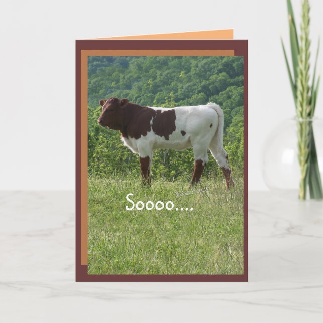 Tarjeta TakaraBday -personalizar- cualquier ocasión (Anverso)