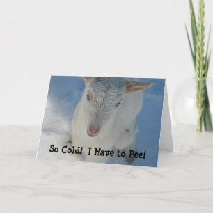 Tarjeta ¡Tan Frío! ¡Tengo que pagar!