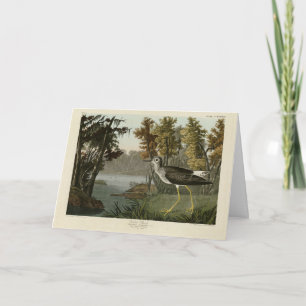 Tarjeta Tanque amarillo de los pájaros de América de Audub