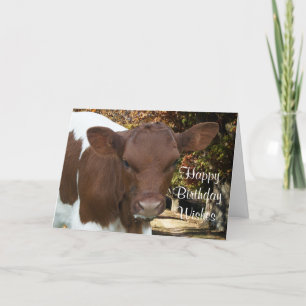 Tarjeta Tansy-personalizar del becerro de Pinzgauer