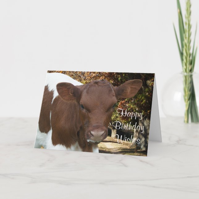 Tarjeta Tansy-personalizar del becerro de Pinzgauer (Anverso)